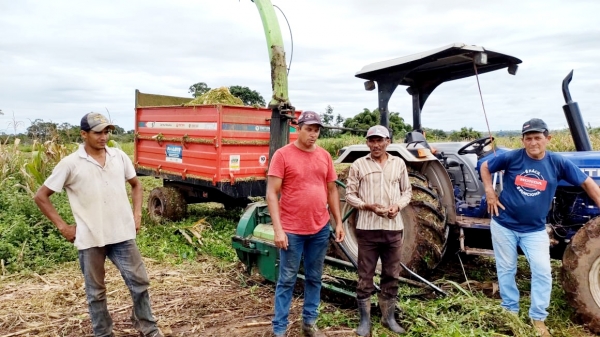 SECRETARIA DE AGRICUTURA  ESTÁ AUXILIANDO OS AGRICULTORES DO MUNICIPIO, NA PRODUÇÃO DE SILAGEM,GARANTINDO A ALIMENMTAÇÃO DO REBANHO DURANTE O VERÃO.