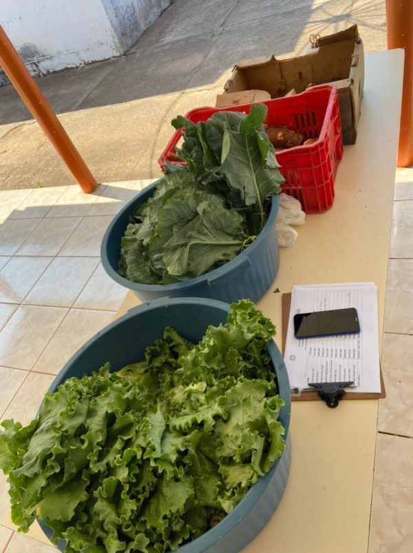 ENTREGA DE ALIMENTOS PARA FAMILIAS CADASTRADAS NO CADASTRO ÚNICO EM PARECIS.