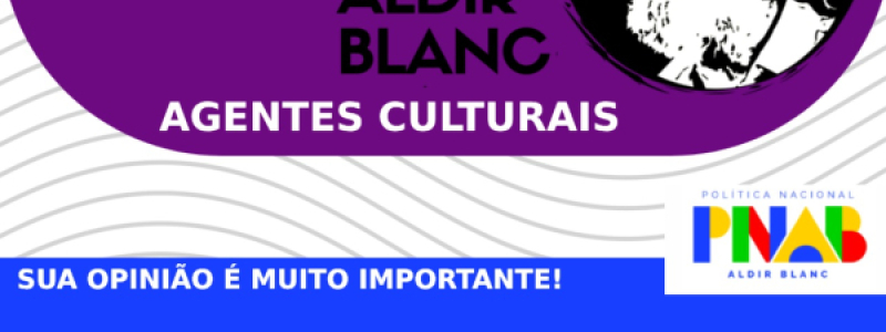 CONSULTA PÚBLICA